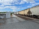TILX 641634